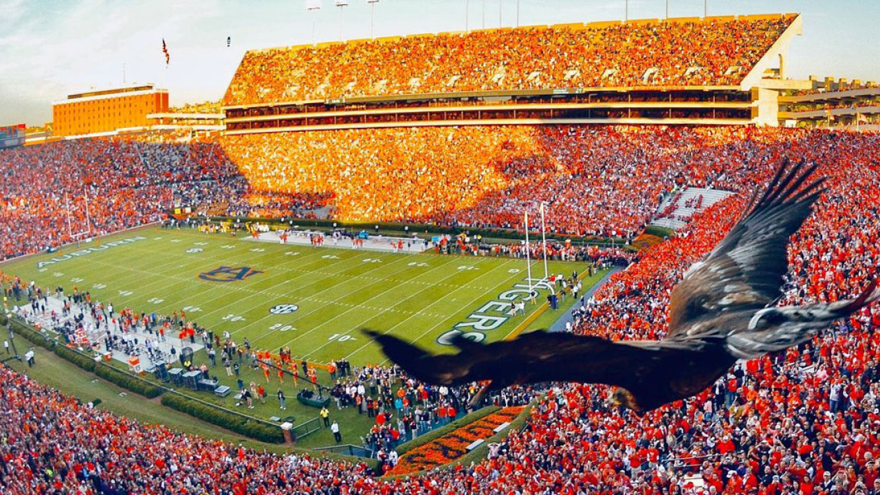 Auburn University Stadium With Eagle In View